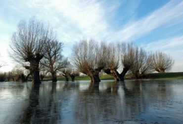 Nacionalinis visuomenės sveikatos centro nuotr.