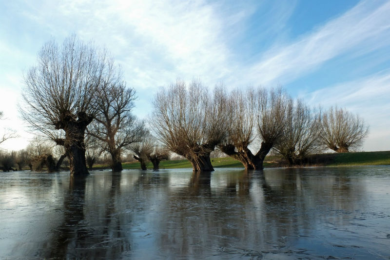 Nacionalinis visuomenės sveikatos centro nuotr.
