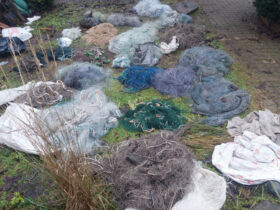 Šilutės gyvosios gamtos apsaugos skyriaus pareigūnai nustatė asmenį, žvejojusį tinklu.