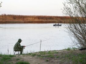 Žvejyba, užės, žuvys